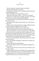 a101f0f0013804_zelezny-plamen-exkluzivni