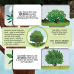 A101U0F0012307_co-to-tady-roste-list4.jp