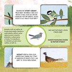 A101U0F0012308_cipak-je-to-mlade-list4.j