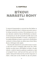 b102l10001255_na-kridlach-uspechu-list3.