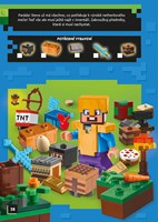 A101C0N0014063_lego-minecraft_list4.jpg