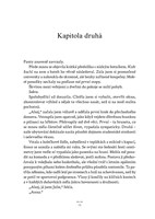 a101f0f0012998_temna-spravedlnost-list2.