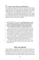 a101a0f0013106_tady-vorel-pitevna-list2.