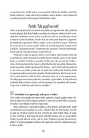 a101a0f0013106_tady-vorel-pitevna-list3.