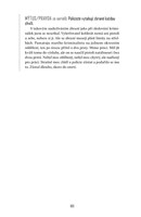 a101a0f0013106_tady-vorel-pitevna-list4.