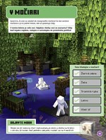 A102M1F0013968_minecraft-objavujeme-biom