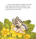 a101a0f0010663_jak-motyli-vila-ztratila-