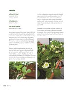 A101C0N0012533_balkon-plny-chuti_list3.j