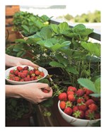 A101C0N0012533_balkon-plny-chuti_list4.j