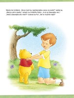 A102M1F0012122_macko-puf-zabava-s-kamara