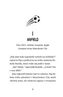 a101f0f0013423_hvezdy-fotbal-hriste-11-g