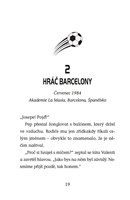 a101f0f0013423_hvezdy-fotbal-hriste-11-g