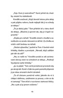 a101f0f0012735_poplach-ve-vilove-ctvrti-