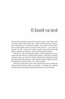 A10160F0014754_Chantal-zivot-na-lane-lis