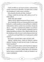 a101f0f0013668_pulnocni-kocky-strazci-sm