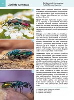 A101E0N0006501_Atlas-hmyzu_list new2.jpg