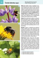 A101E0N0006501_Atlas-hmyzu_list new3.jpg