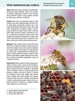 A101E0N0006501_Atlas-hmyzu_list new4.jpg