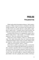 A101Z0F0012399_pod-hladinou-lzi-list1.jp