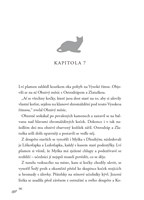 A10110F0011988_Kocici-valecnici-III-05-D