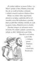 a101f0f0002755_npssk-16-vycerpana-postol