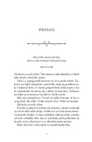 a10130F0010748_dcera-nekdejsich-svetu-li