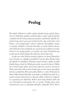 a10130F0011629_narodni-opruzeni-3-list1.