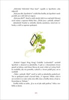 a101a0f0008289_Emilka-a-zahada-mizejicic