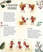 A101U0F0013845_jak-to-chodi-v-mravenisti