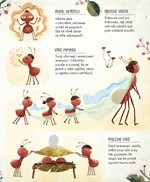 A101U0F0013845_jak-to-chodi-v-mravenisti