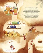 A101U0F0013845_jak-to-chodi-v-mravenisti