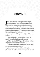 A101E0N0007711_Hleda-se-pomeranian_list1