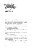 a10130F0012754_posledni-svetlo-ktere-nep