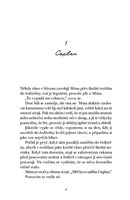 a10130F0012823_nekonecny-cerven-list3.jp