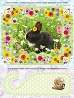 0099350110_9788025506752_Knizka plna kra