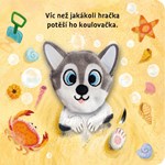 0099364222_9788025515624_stastn stene-li