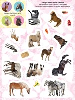 0099369370_9788025509425_Knizka-plna-kon