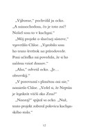 b102l10001430_mopslik-ktory-chcel-byt-mo