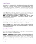 B102L10001242_Tajomstvo-vasej-pleti-list