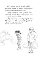 a101f0f0013880_ema-ajkz-19-rostacky-myva