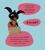 A101M0F0015931_bing-pohadky-pred-usnutim